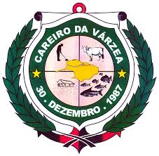 Brasão da seguinte cidade: Careiro da Várzea