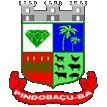 Brasão da seguinte cidade: Pindobaçu