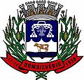 Brasão da seguinte cidade: Dom Silvério