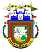 Brasão da seguinte cidade: Luisburgo