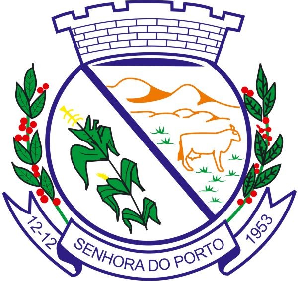 Brasão da seguinte cidade: Senhora do Porto