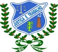 Brasão da seguinte cidade: São Miguel do Guamá