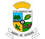 Brasão da seguinte cidade: Barão de Cotegipe