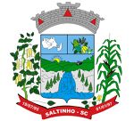 Brasão da seguinte cidade: Saltinho