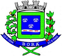 Brasão da seguinte cidade: Borá