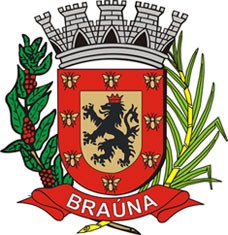 Brasão da seguinte cidade: Braúna