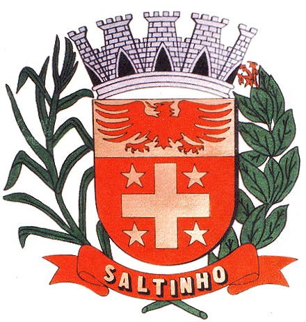 Brasão da seguinte cidade: Saltinho