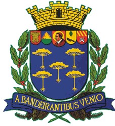 Brasão da seguinte cidade: São Carlos