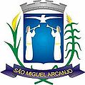 Brasão da seguinte cidade: São Miguel Arcanjo