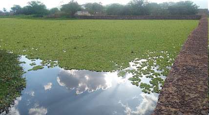 Foto da prefeitura de Iracema