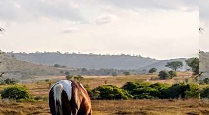 Foto da prefeitura de Gurinhém