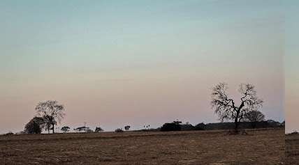 Foto da prefeitura de São João de Iracema