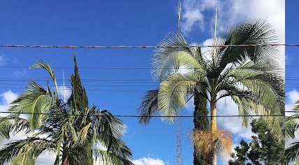 Foto da prefeitura de Esperança do Sul